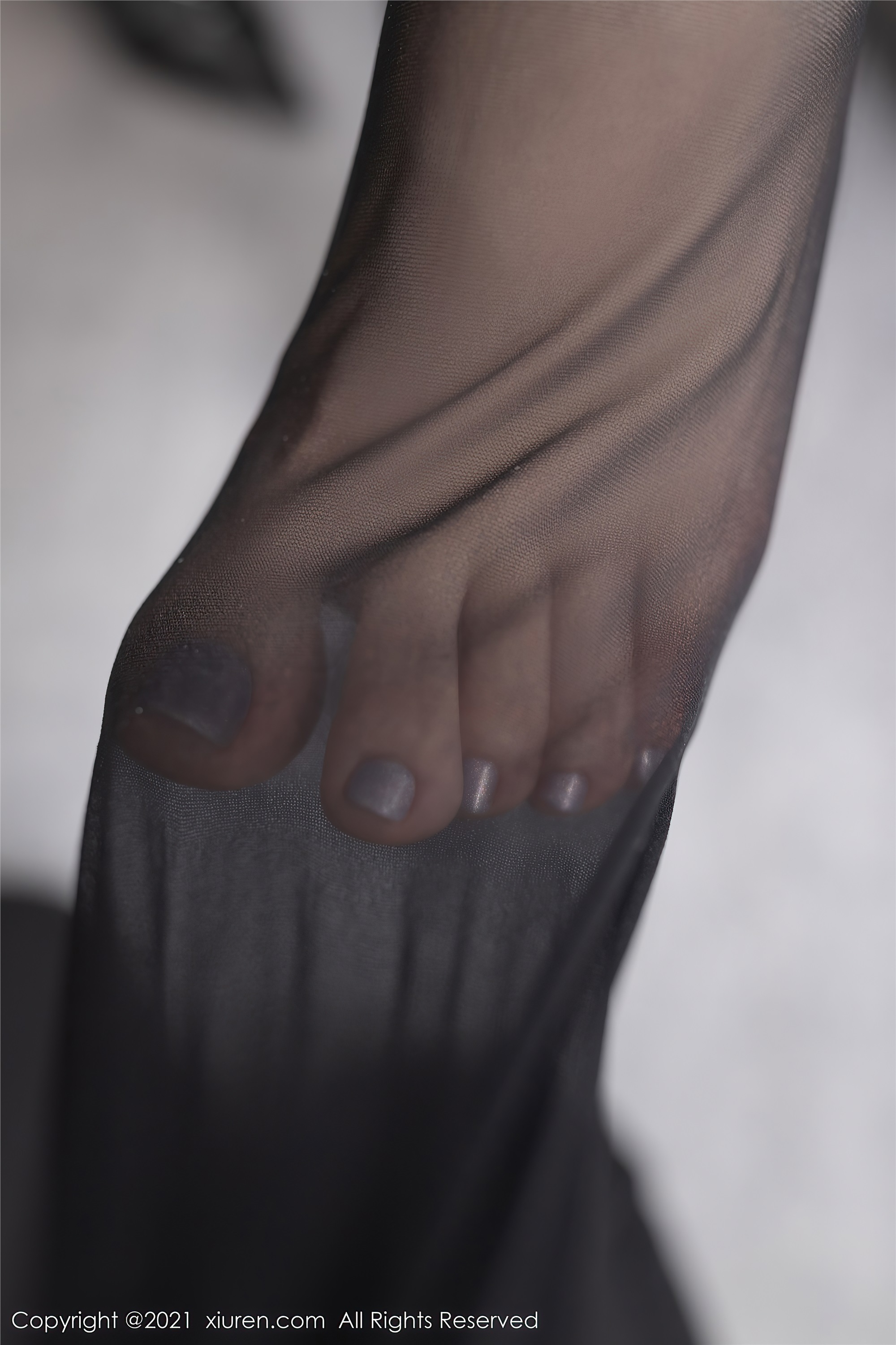 XIUREN秀人网  2021.02.08 No.3099 鱼子酱Fish